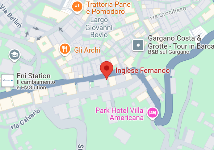 Immagine Google Maps